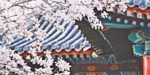 微信截图_20190513175200.png 微信截图_20190513175200.png